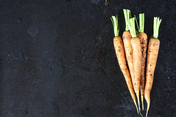 Грязная морковка — стоковое фото