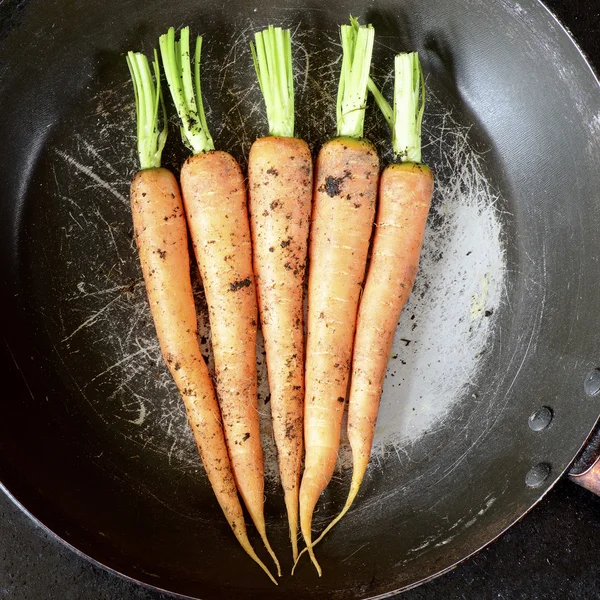 Carrots vegetables  in pan — Stock Photo, Image