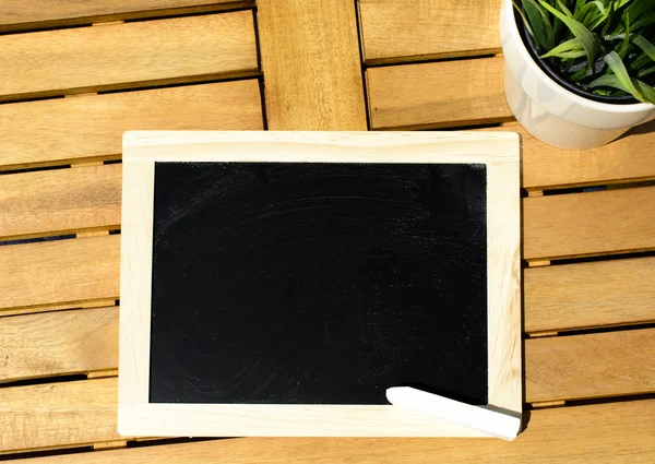 Lege Blackboard frame met groene plant — Stockfoto