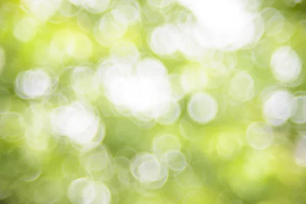 Naturalny zielony jasny rozmycie tła — Zdjęcie stockowe