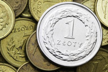 Madeni para 1 zloti. Polonya Para Birimi.
