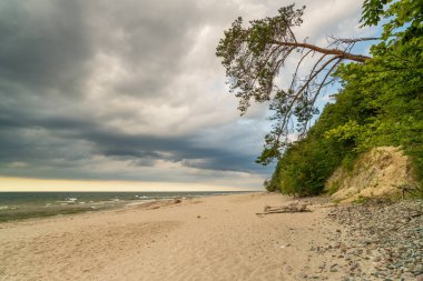 The landscape on the Baltic Sea.