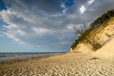 The landscape on the Baltic Sea.