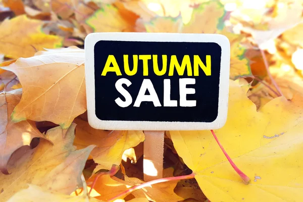 Lackboard with autumn sale — Stock Photo, Image