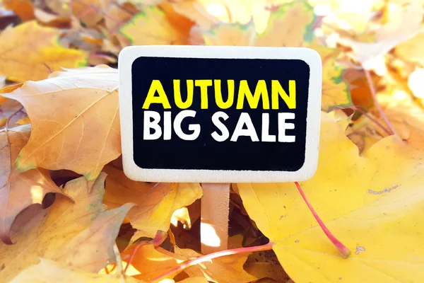 Blackboard with autumn big sale — Stock Photo, Image