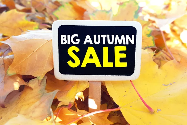 Blackboard with big autumn sale — Stock Photo, Image