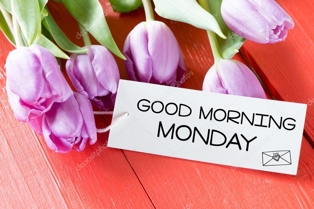 Tulips with good morning monday card — Stock Photo © roobcio 95066778