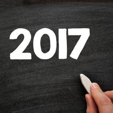 2017 yazıt yazma el