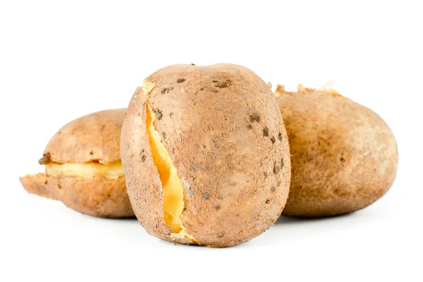 Vanlig jacka potatis — Stockfoto