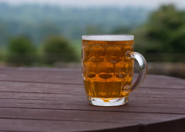 Kufel piwa w ogródku piwnym Zdjęcia Stockowe bez tantiem