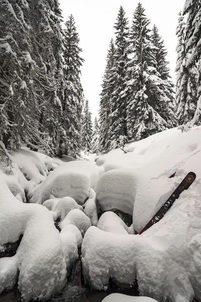 Invierno Nevado Bosque Los Cárpatos —  Fotos de Stock