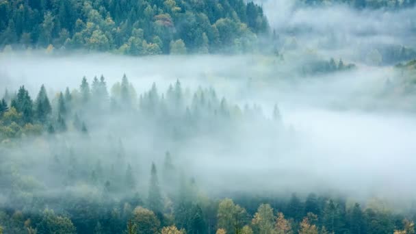 Zeitraffer Von Wolken Die Sich Über Bewaldete Hügel Bewegen — Stockvideo
