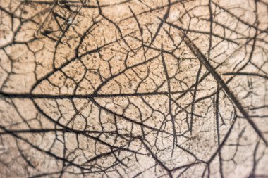 Seramik yüzeyin yakın çekim deseni