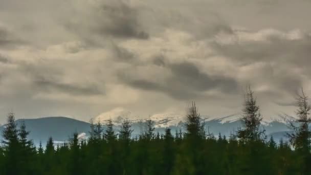 Tijd Verstrijken Van Besneeuwde Bergen Dennenbos Wolken — Stockvideo