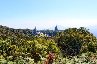 Kew mae pan Doi Inthanon