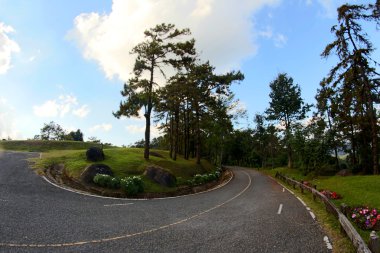 Huai Nam Dang Milli Parkı, Chiang Mai, Tayland