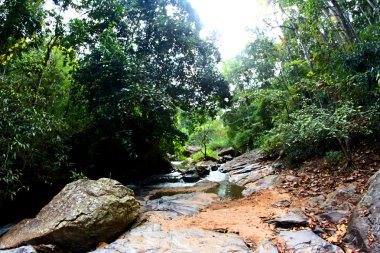 Mae Sa şelale Doi Suthep-Pui Milli Parkı, Chiang Mai, inci