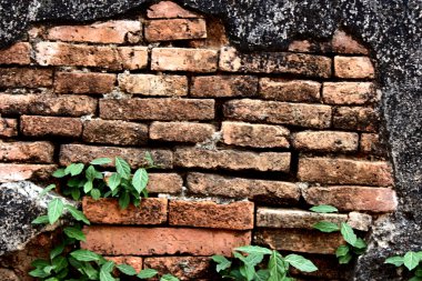 WAT Jet Yod veya yedi Chedis, Chiangmai, Tayland
