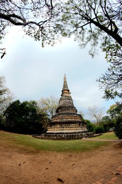 WAT Umong Suan Puthatham, chiangmai, Tayland