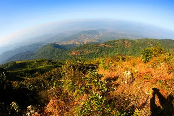 Kew mae pan Doi Inthanon National Park, chiangmai, Tailândia — Fotografia de Stock