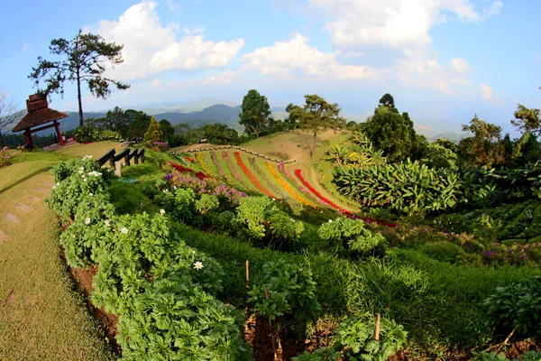 Huai Nam Dang National park, Chiang Mai, Thailand — Stock Photo, Image