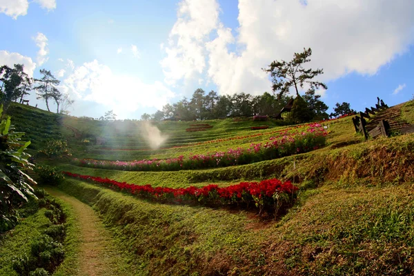 Parque Nacional Huai Nam Dang, Chiang Mai, Tailândia — Fotografia de Stock