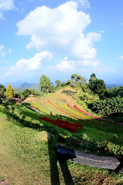 Huai Nam Dang National park, Chiang Mai, Thailand — Stockfoto