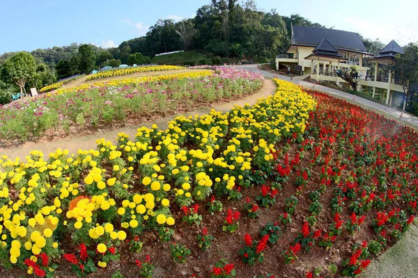 Ботанический сад Царицы Сирикит, Чиангмай, Таиланд — стоковое фото