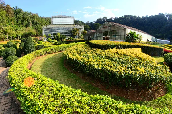 Queen Sirikit Botanical Garden  , chiangmai ,thailand — Stock Photo, Image