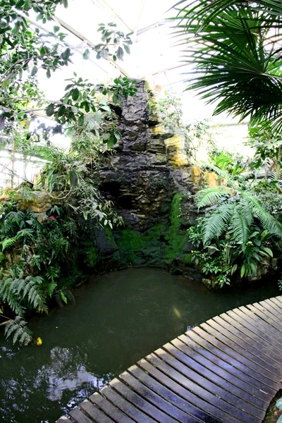 Ботанический сад Царицы Сирикит, Чиангмай, Таиланд — стоковое фото