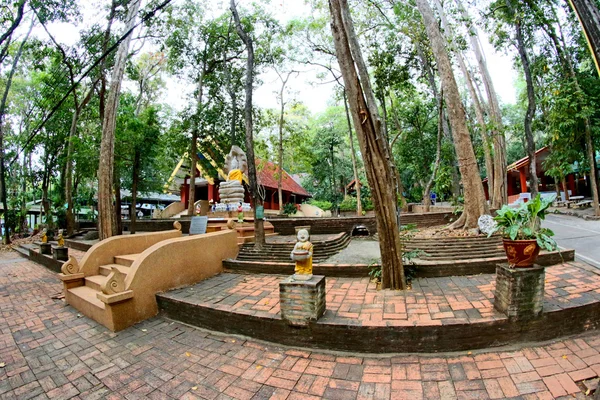 Wat Umong Suan Puthatham, Chiangmai, Таиланд — стоковое фото