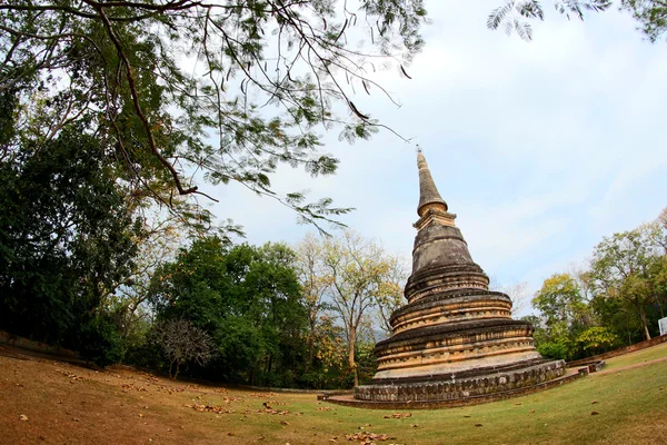 Wat umong suan puthatham, chiangmai, Thailand — Stockfoto