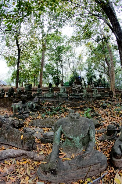 Wat Umong Suan Puthatham, chiangmai, thailand — Stockfoto