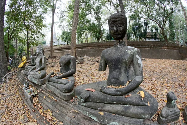 Wat Umong Suan Puthatham, chiangmai, Thailanda — Fotografie, imagine de stoc