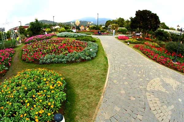 Jardín de flores foto diseño — Foto de Stock