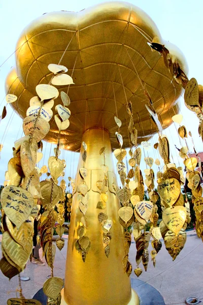 로얄 플로 라 사원, 호 Kham Lhuang, 륵, 치앙마이, t — 스톡 사진