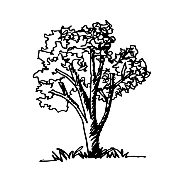 Ikon pohon Doodle - Stok Vektor