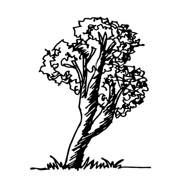 Doodle дерево значок — стоковий вектор