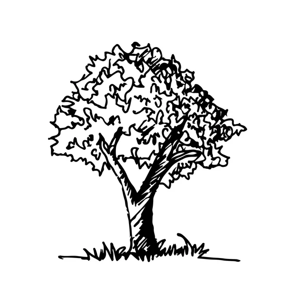 Иконка Doodle tree — стоковый вектор