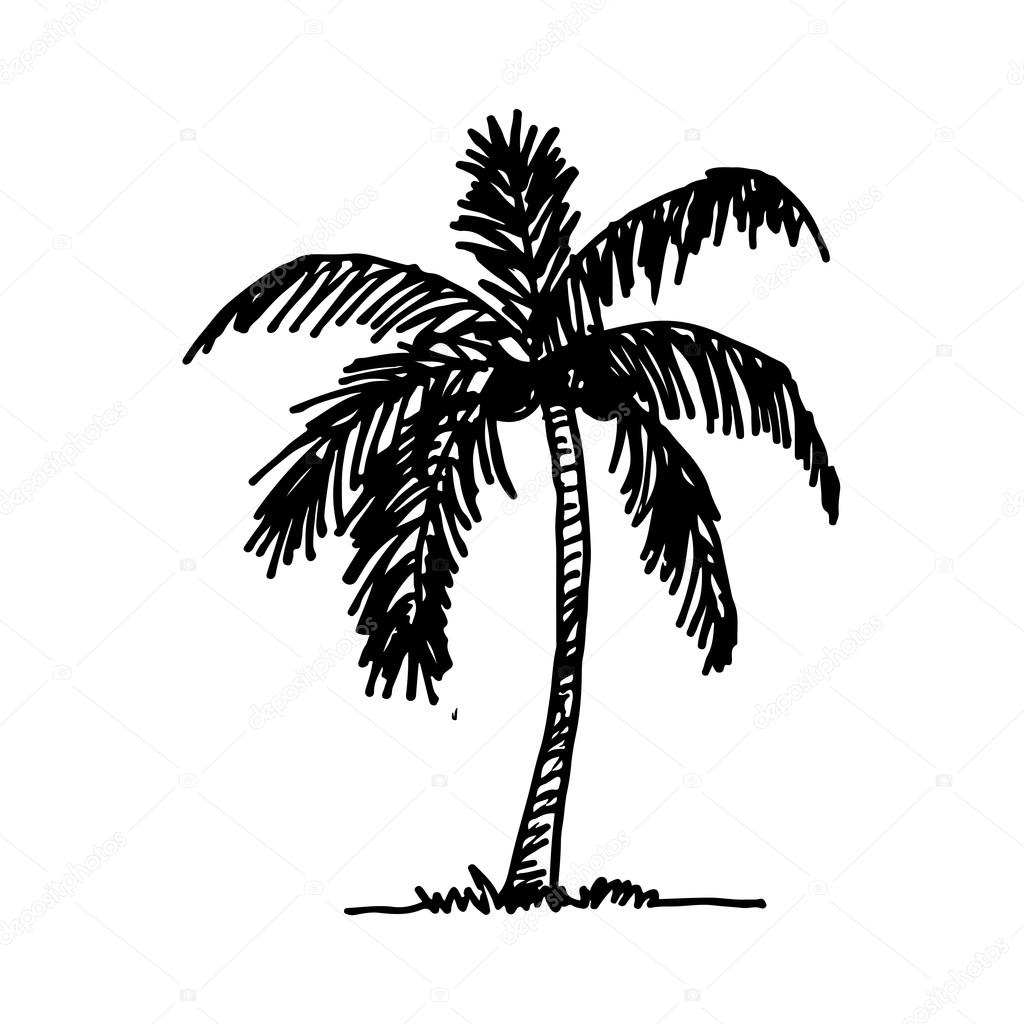 Doodle Coconut Tree Icon Stock Vector Image By C Porjai Doodle Coconut Tree Icon Stock Vector Image By C Porjai