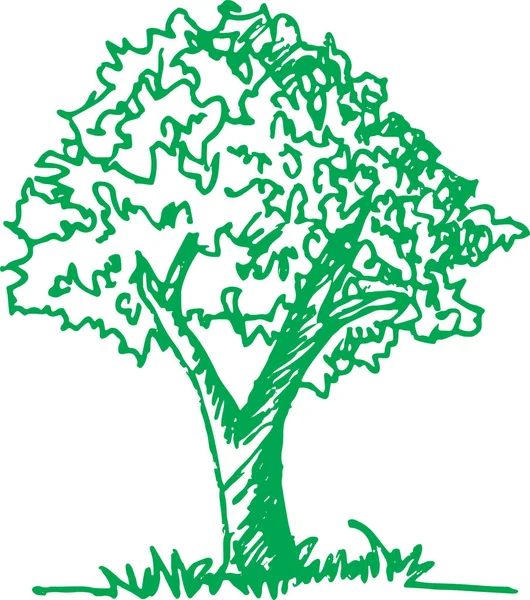 Pohon Dengan Desain Ikon Ikon Daun - Stok Vektor
