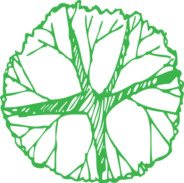 葉のアイコンのデザインの木 — ストックベクタ