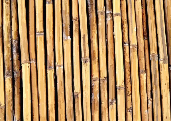 Bamboo background illustration — Stock Vector