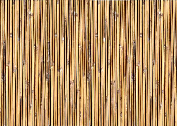 Bambù sfondo illustrazione — Vettoriale Stock