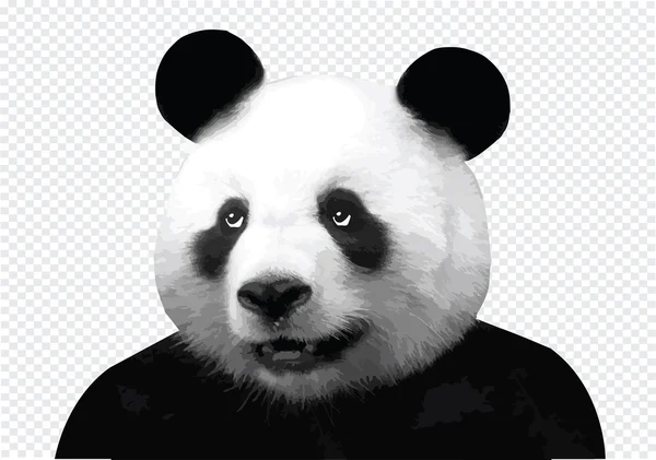 Grafika wektorowa Panda — Wektor stockowy