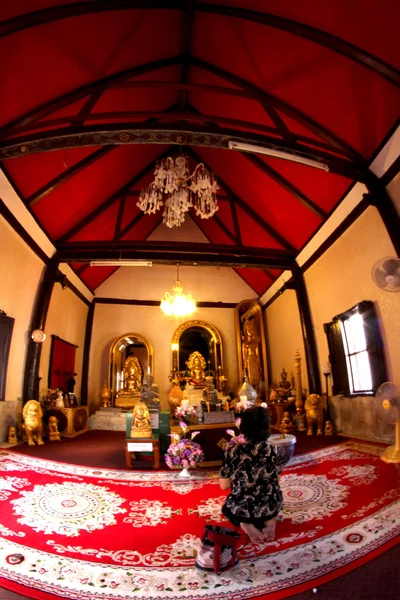 Konst och raden av wat tung sri wirai temple, baan cheetuan, khua — Stockfoto