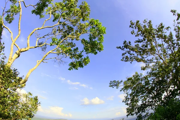 Pha mor 전자 댕, 카오 프라와 한 국가 공원, Srisaket 주, 태국 — 스톡 사진