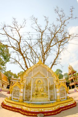 WAT Phrathat Nong Bua Tapınağı: Ubon Ratchathani, Thailand