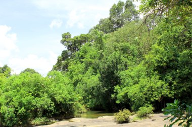 Derin orman nehir Krachan lam duan Ubon Ratchathani, Thailand