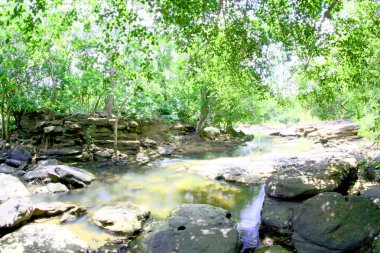 Derin orman nehir Krachan lam duan Ubon Ratchathani, Thailand